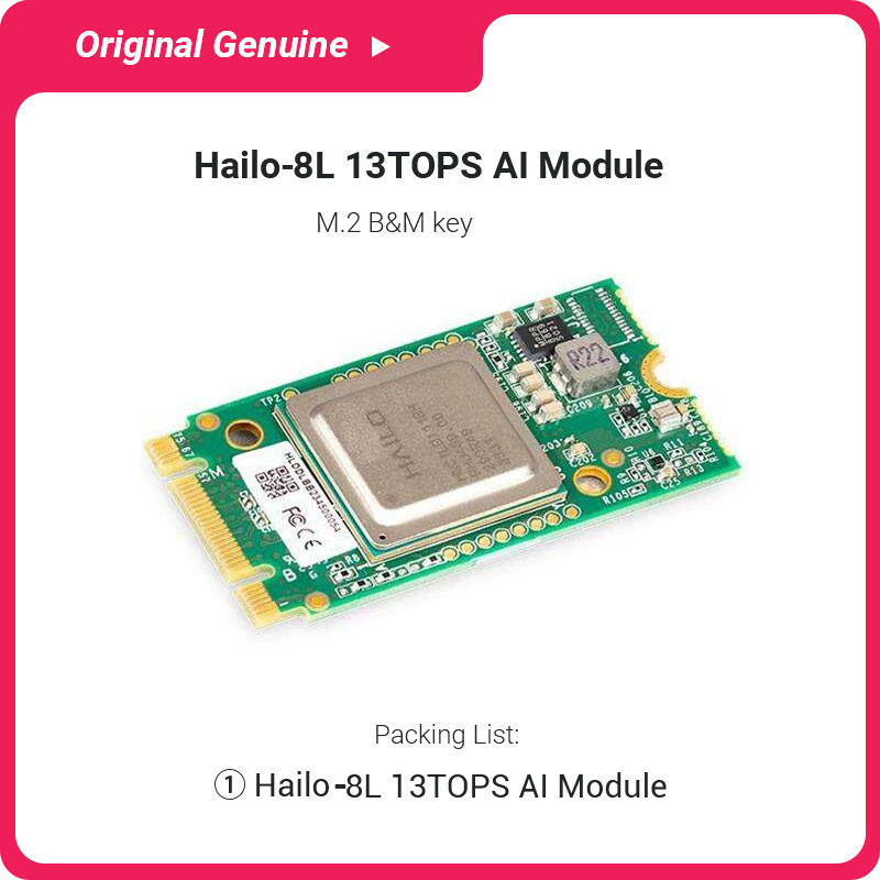 Hailo 8L AI 모듈 CNC 케이스가 포함된 완벽 - Raspberry Pi Ai Kit Hailo-8L 리뷰 및 가격